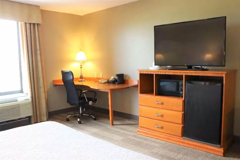 キングサイズベッドのスタンダードルーム, Hampton Inn & Suites Thibodaux