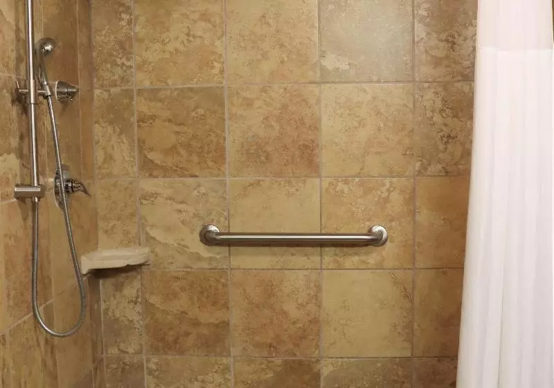 キングサイズベッドのスタンダードルーム, Hampton Inn & Suites Thibodaux