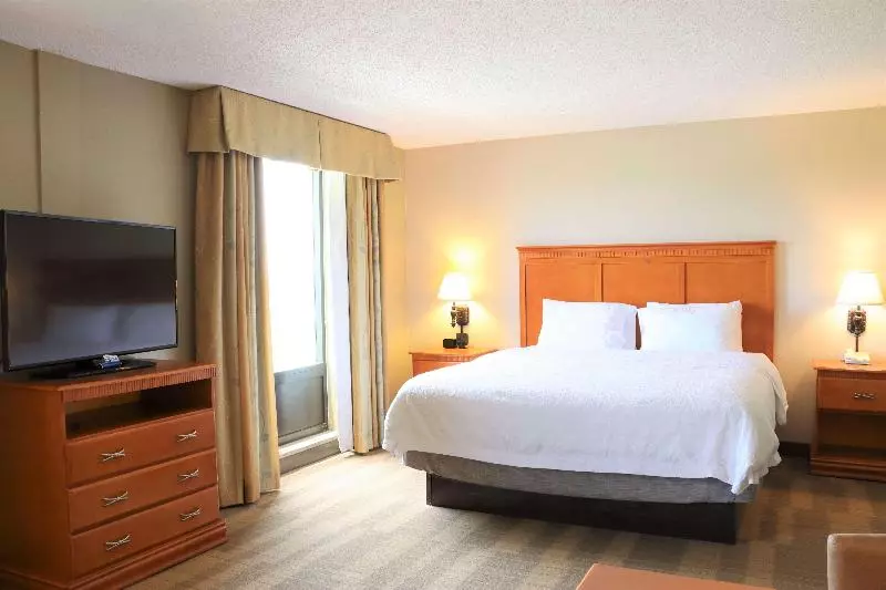 キングサイドベッドのスタンダードワンルーム, Hampton Inn & Suites Thibodaux