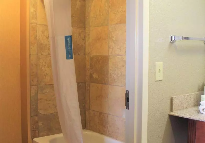 キングサイドベッドのスタンダードワンルーム, Hampton Inn & Suites Thibodaux