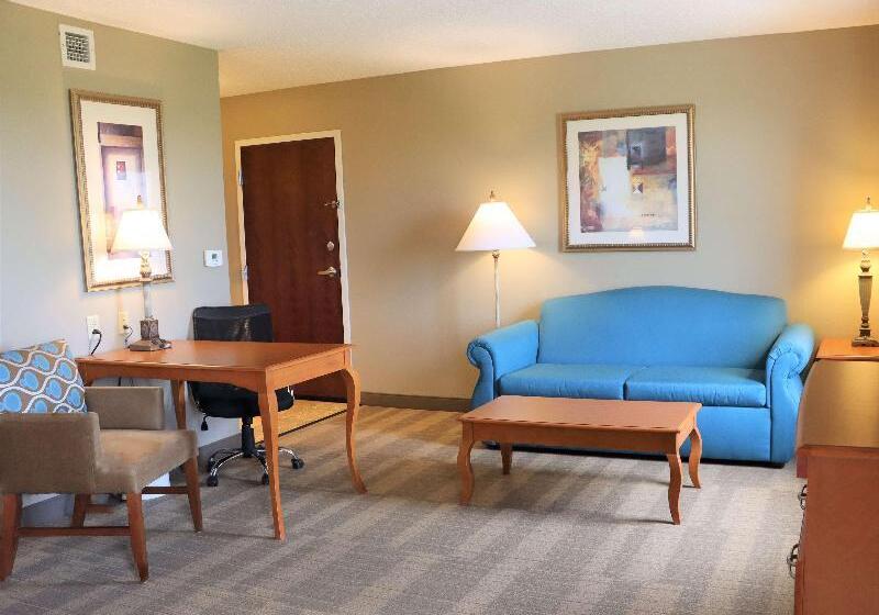 스탠다드 스튜디오 킹침대, Hampton Inn & Suites Thibodaux
