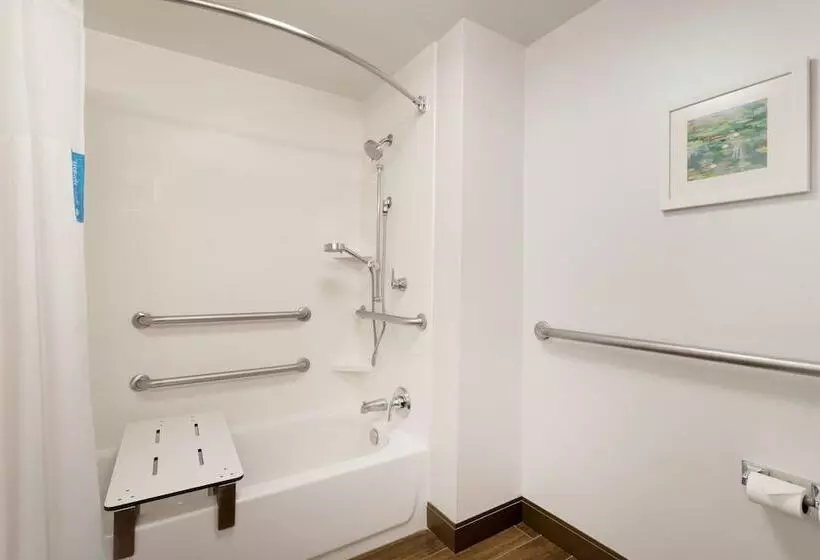 اتاق استاندارد, Hampton Inn & Suites Tallahassee I 10/thomasville Road, Fl