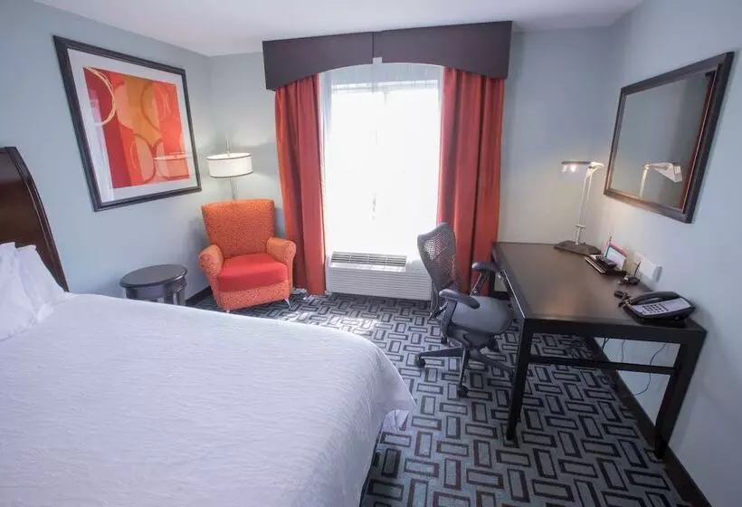 スタンダードルーム, Hilton Garden Inn Atlanta South/mcdonough