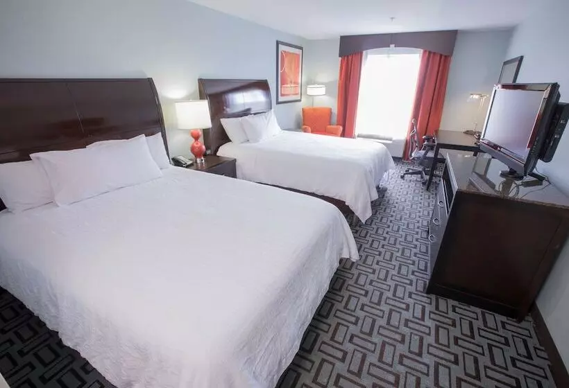 スタンダードルーム, Hilton Garden Inn Atlanta South/mcdonough