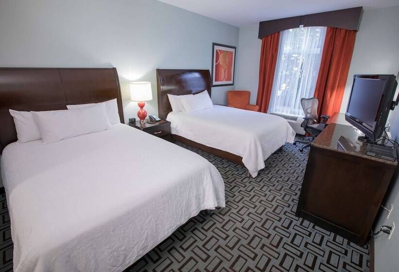 장애인을 위한 스탠다드 룸, Hilton Garden Inn Atlanta South/mcdonough