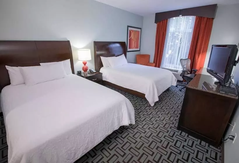 身障者適用スタンダードルーム, Hilton Garden Inn Atlanta South/mcdonough