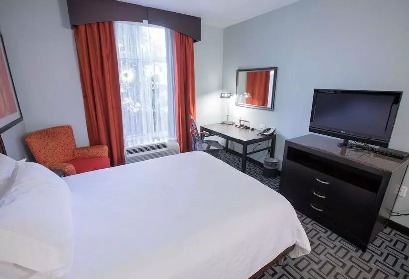 身障者適用スタンダードルーム, Hilton Garden Inn Atlanta South/mcdonough