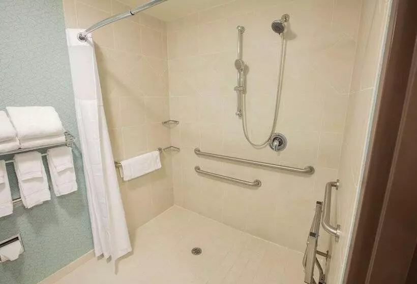 身障者適用スタンダードルーム, Hilton Garden Inn Atlanta South/mcdonough