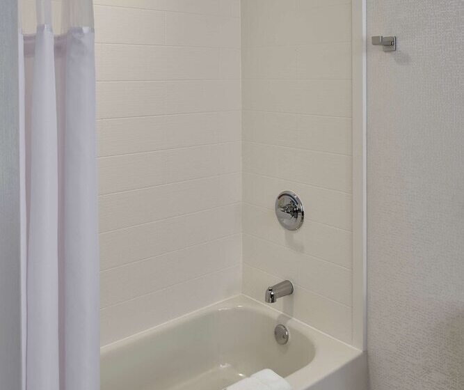 Quarto Estandar, Hilton Garden Inn Detroit Downtown