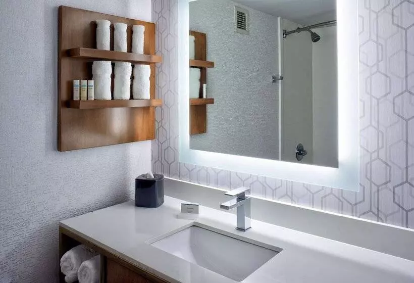 اتاق استاندارد برای معلولان, Hilton Garden Inn Detroit Downtown