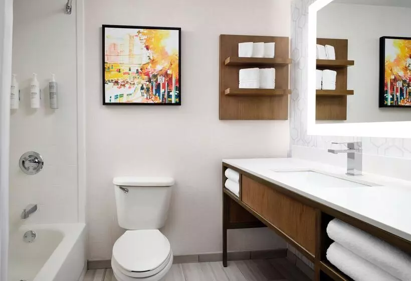اتاق استاندارد با تخت بزرگ, Hilton Garden Inn Detroit Downtown