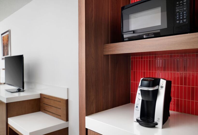 带大床的标准间, Hilton Garden Inn Detroit Downtown