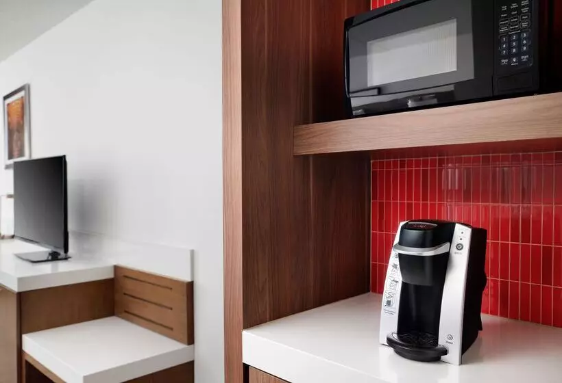 اتاق استاندارد با تخت بزرگ, Hilton Garden Inn Detroit Downtown