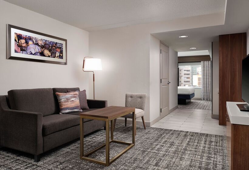 带大床的小型套房, Hilton Garden Inn Detroit Downtown