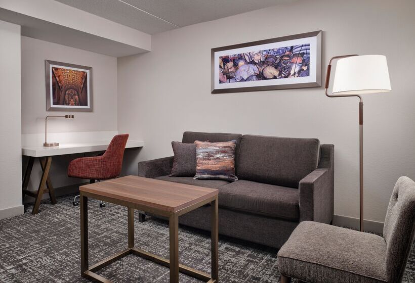 带大床的小型套房, Hilton Garden Inn Detroit Downtown