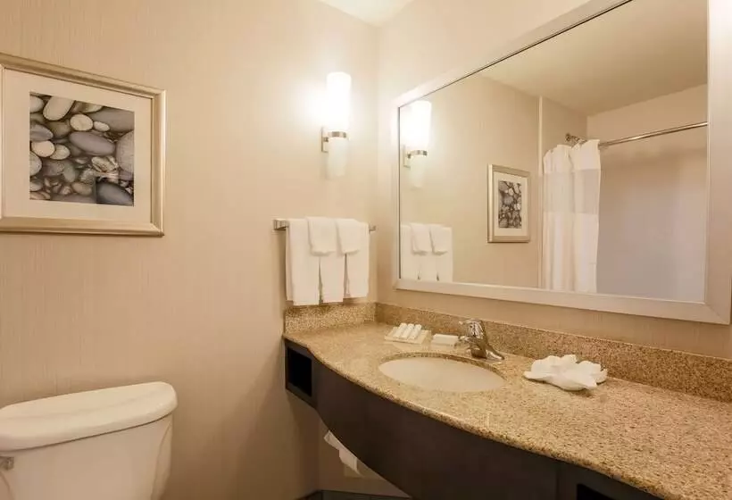 ２ダブルベッドのスタンダードルーム, Hilton Garden Inn Nanuet