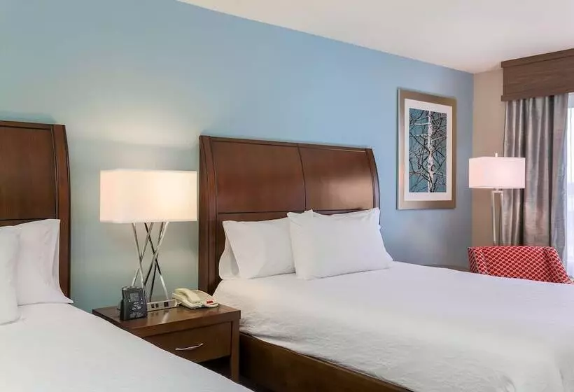２ダブルベッドのスタンダードルーム, Hilton Garden Inn Nanuet