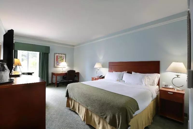 身障者適用スタンダードルーム, Holiday Inn Express Tampa North Telecom Park, An Ihg