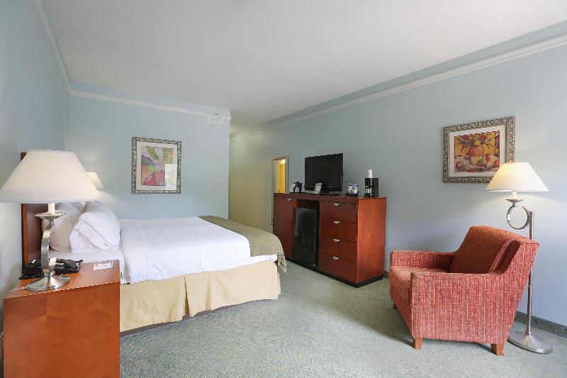 غرفة قياسية سرير كينج لذوى الإحتياجات الخاصة, Holiday Inn Express Tampa North Telecom Park, An Ihg