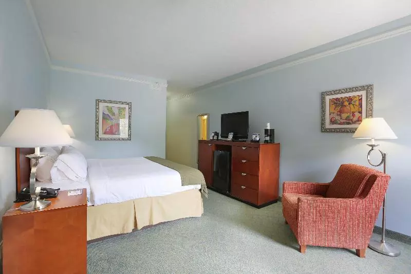身障者適用キングサイズベッドルーム, Holiday Inn Express Tampa North Telecom Park, An Ihg