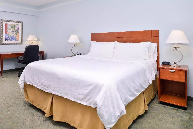 キングサイズベッドのスタンダードルーム, Holiday Inn Express Tampa North Telecom Park, An Ihg