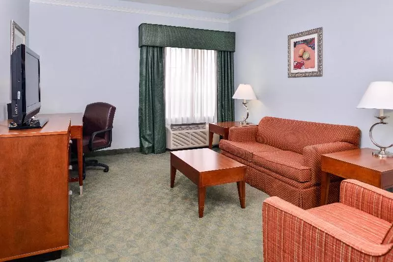 キングサイズベッドのスイートルーム, Holiday Inn Express Tampa North Telecom Park, An Ihg
