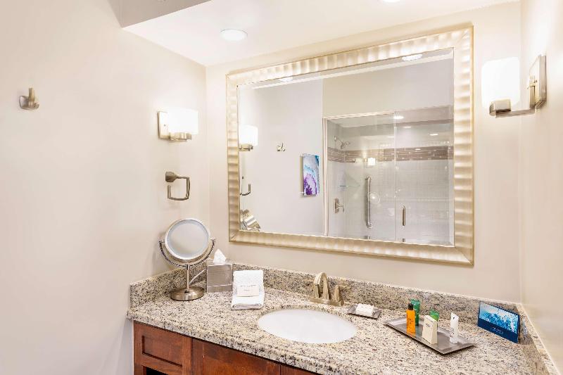 غرفة قياسية لذوى الاحتياجات الخاصة, Holiday Inn Express Tampa North Telecom Park, An Ihg