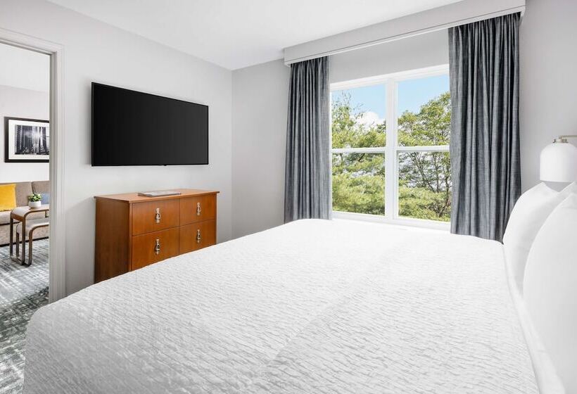 Suite Adaptată pentru Discapacitaţi, Homewood Suites By Hilton Portsmouth