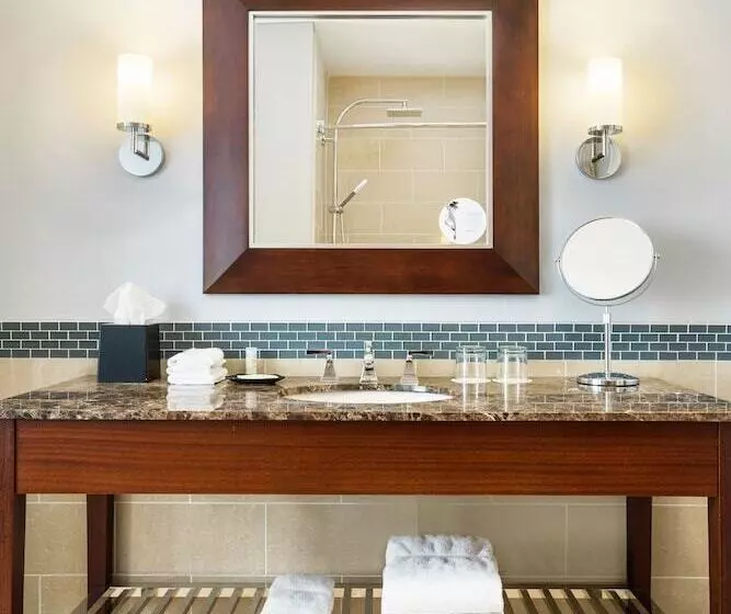 اتاق کلاسیک با تخت دوبل, The Westin Book Cadillac Detroit