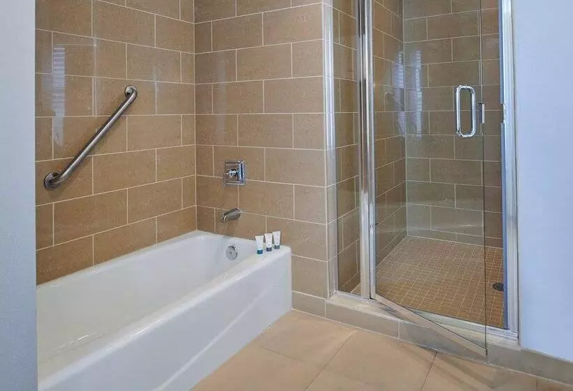 اتاق کلاسیک با تخت دوبل, The Westin Book Cadillac Detroit