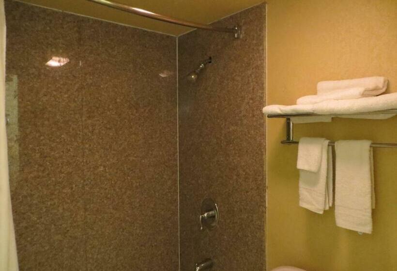 带大床的标准间, Welcome Inn