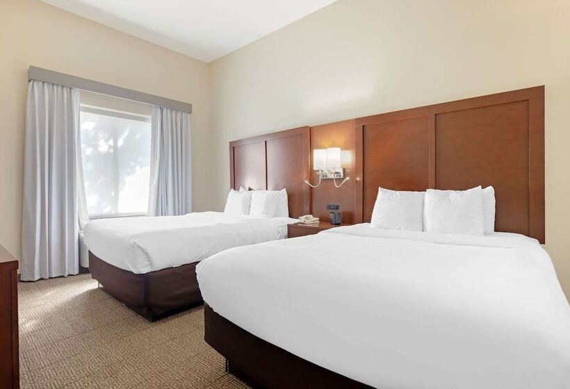 适合残疾人士使用的套间, Comfort Suites West Dallas Cockrell Hill