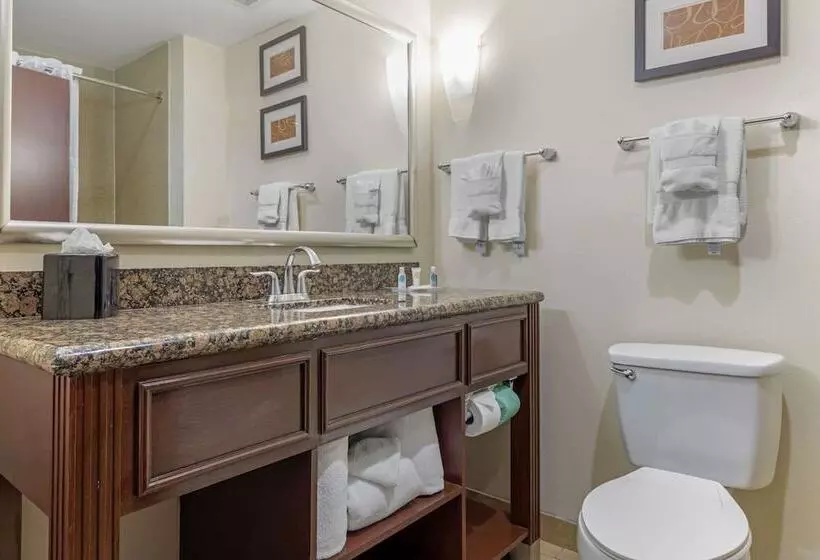 Sviitti, Comfort Suites West Dallas Cockrell Hill