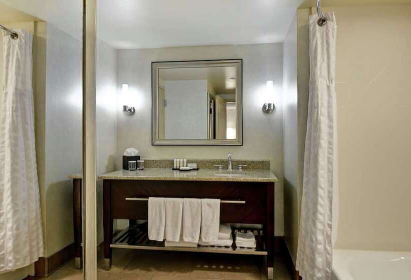סוויטה מותאמת לאדם עם מוגבלויות, Embassy Suites By Hilton Savannah Airport