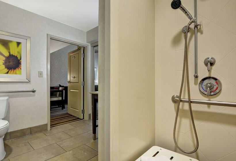 جناح لذوى الاحتياجات الخاصة, Embassy Suites By Hilton Savannah Airport