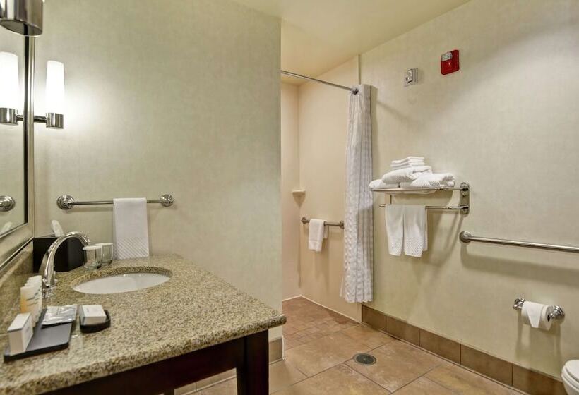 סוויטה מותאמת לאדם עם מוגבלויות, Embassy Suites By Hilton Savannah Airport