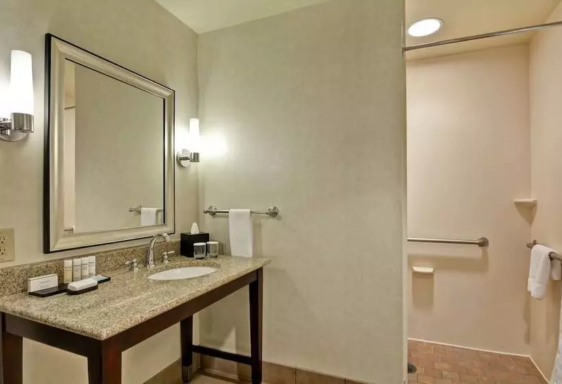 身障者適用スイートルーム, Embassy Suites By Hilton Savannah Airport