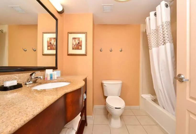 ２ダブルベッドのスタンダードルーム, Hampton Inn & Suites Fredericksburg South