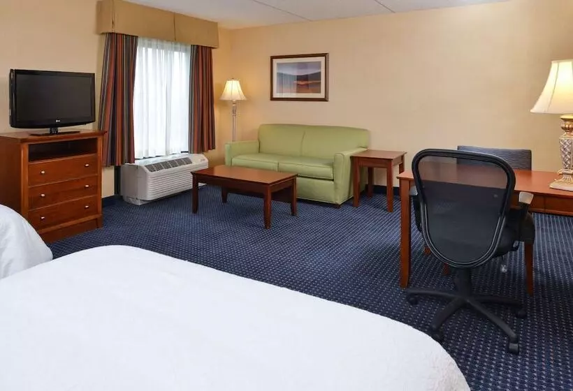 スイート, Hampton Inn & Suites Fredericksburg South