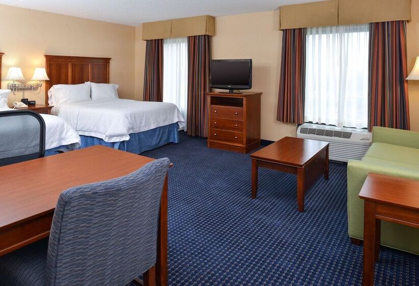 סוויטה, Hampton Inn & Suites Fredericksburg South