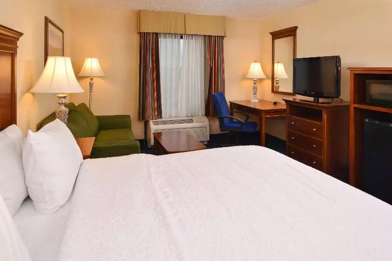 キングサイズベッドのスタンダードルーム, Hampton Inn & Suites Fredericksburg South