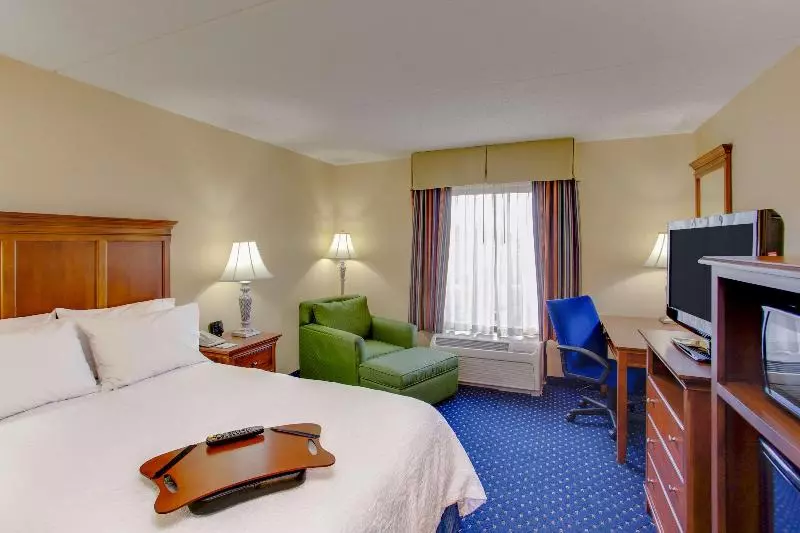 キングサイズベッドのスタンダードルーム, Hampton Inn & Suites Fredericksburg South