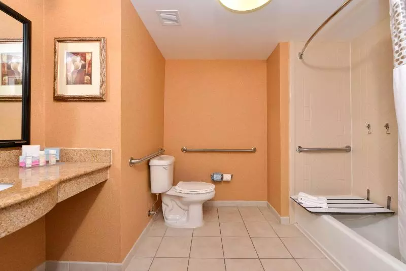 キングサイズベッドのスタンダードルーム, Hampton Inn & Suites Fredericksburg South
