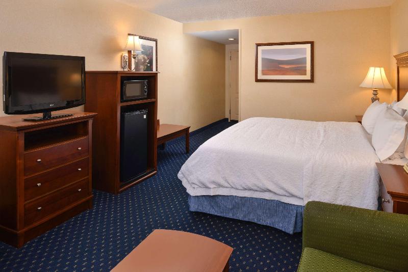 스탠다드 룸 킹사이즈 침대, Hampton Inn & Suites Fredericksburg South
