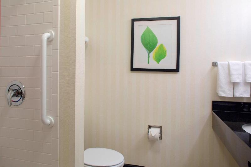 Chambre Standard Lit King Size, Hampton Inn & Suites Ft. Worth Burleson