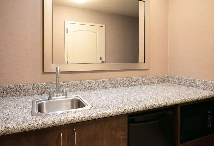 Standard-studio, Hampton Inn & Suites Lincoln   Northeast I 80