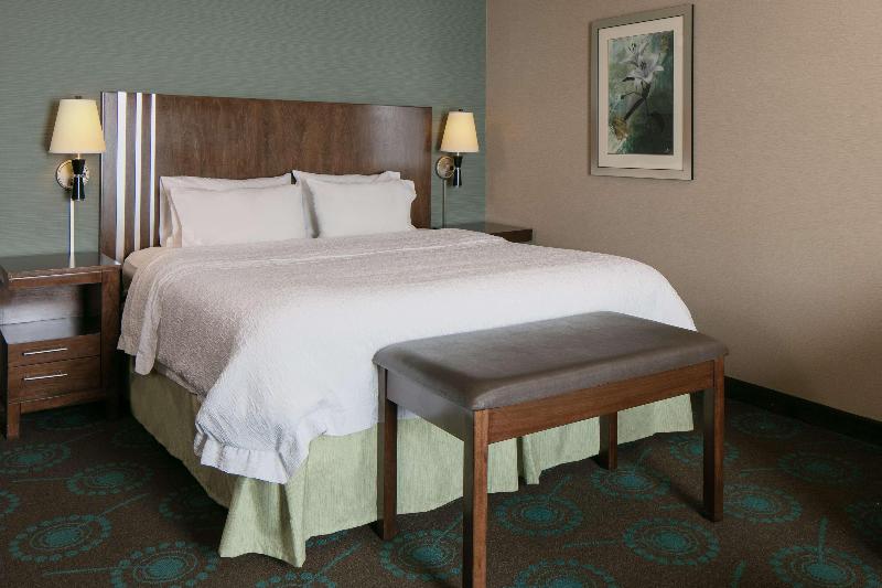 스탠다드 룸 킹사이즈 침대, Hampton Inn & Suites Lincoln   Northeast I 80
