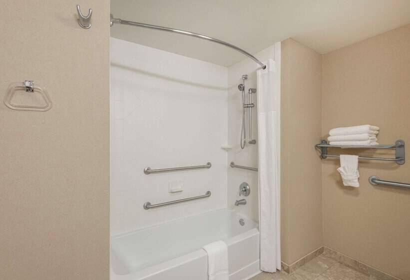 غرفة قياسية لذوى الاحتياجات الخاصة, Hampton Inn Branson  Branson Hills