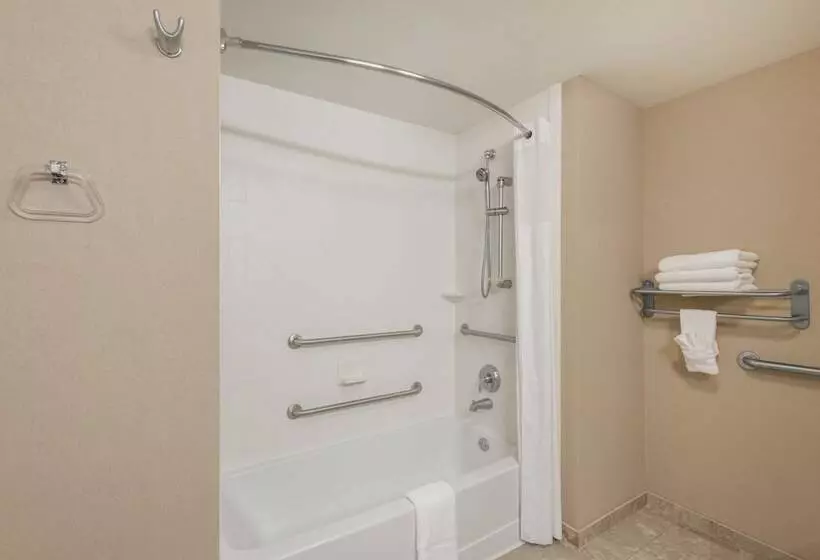 اتاق استاندارد برای معلولان, Hampton Inn Branson Branson Hills