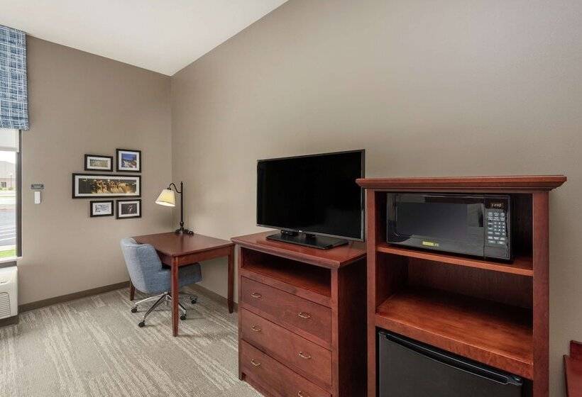 غرفة قياسية لذوى الاحتياجات الخاصة, Hampton Inn Branson  Branson Hills